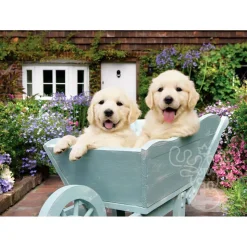 Anatolian Puppies in a Wheelbarrow Puzzle 260pcs