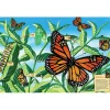 Cobble Hill Life Cycle of a Monarch Butterfly Floor Puzzle 48pcs