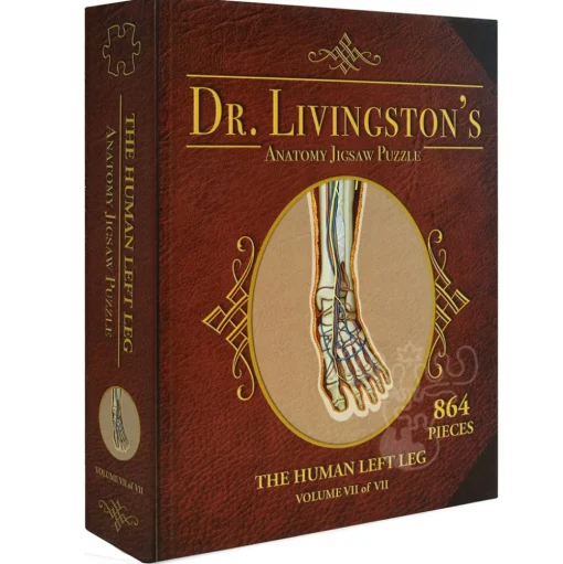 Dr. Livingston's Anatomy: The Human Left Leg Puzzle 864pcs