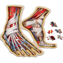 Dr. Livingston's Anatomy: The Human Feet Puzzle 764pcs