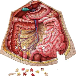Dr. Livingston's Anatomy: The Human Thorax Puzzle 561pcs