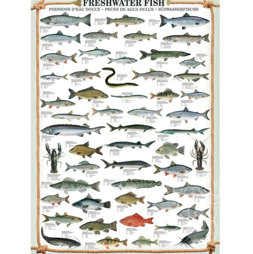 Eurographics Freshwater Fish Puzzle 1000pcs