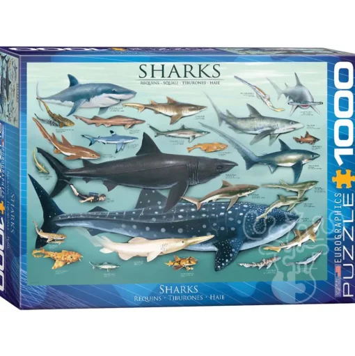 Eurographics Sharks Puzzle 1000pcs
