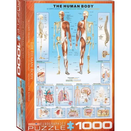 Eurographics The Human Body Puzzle 1000pcs