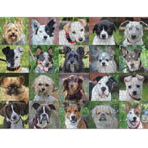 Galison Rescue Dogs Puzzle 1000pcs