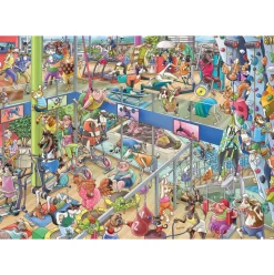 Heye Pet Gym Puzzle 1000pcs Triangle Box