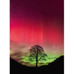 Heye Power of Nature: Sycamore Gap Puzzle 1000pcs