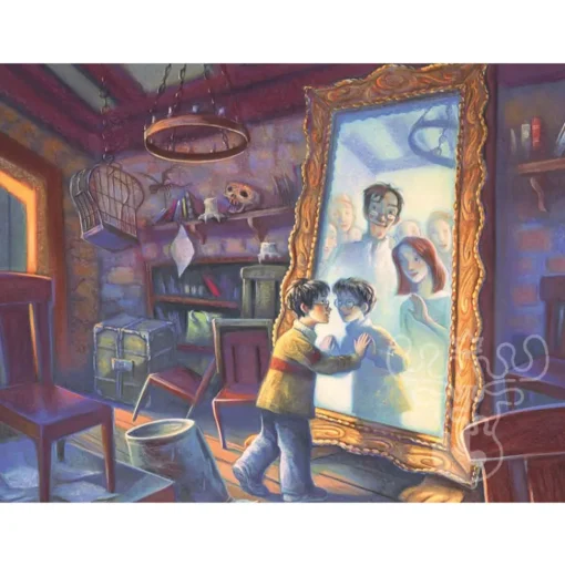 New York Puzzle Co. Harry Potter: Mirror of Erised Puzzle 1000pcs