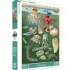 New York Puzzle Co. Vintage Collection: Under the Sea Puzzle 1000pcs