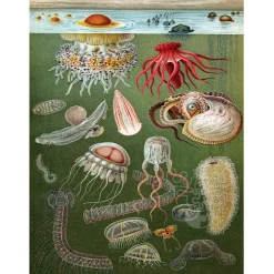 New York Puzzle Co. Vintage Collection: Under the Sea Puzzle 1000pcs
