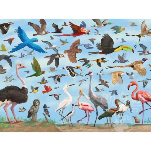 Peter Pauper Press All the Bird Puzzle 1000pcs