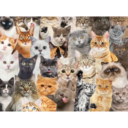 Peter Pauper Press All the Cats Puzzle 500pcs