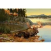 SunsOut Squatters Rights Puzzle 1000pcs