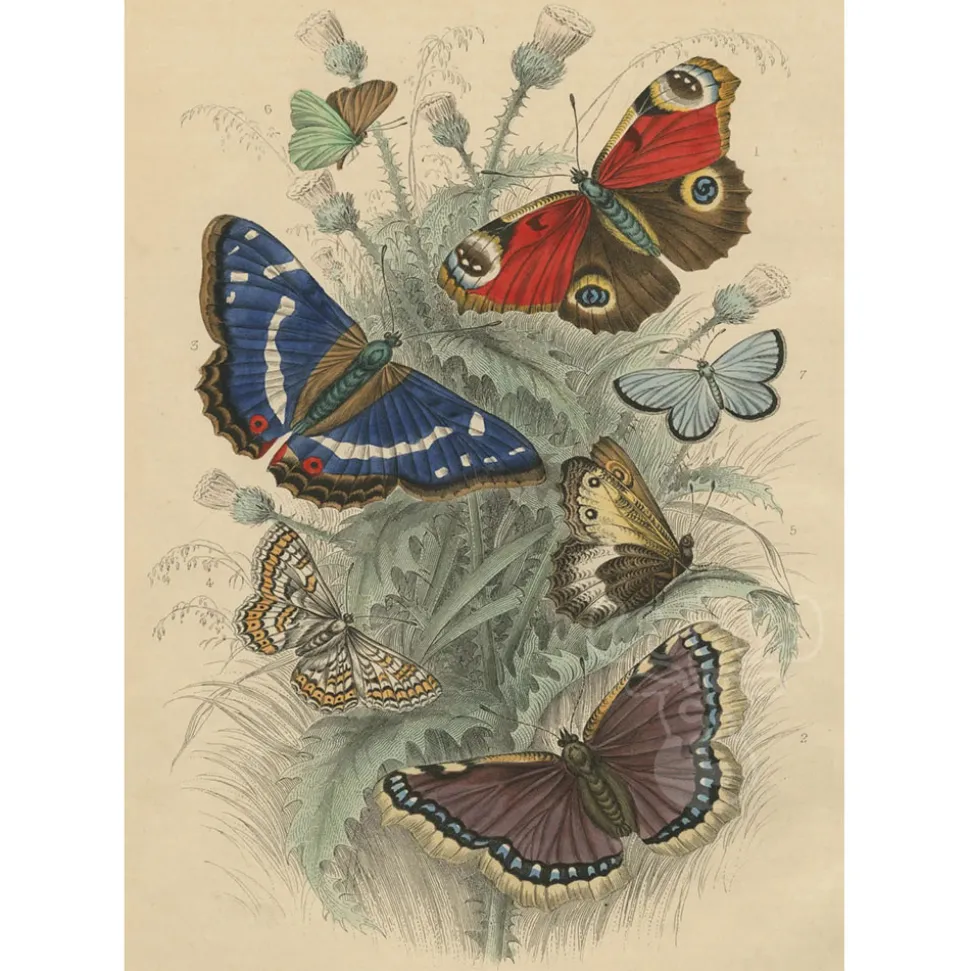 Artisan John Derian Paper Goods: Dancing Butterflies Puzzle 750pcs