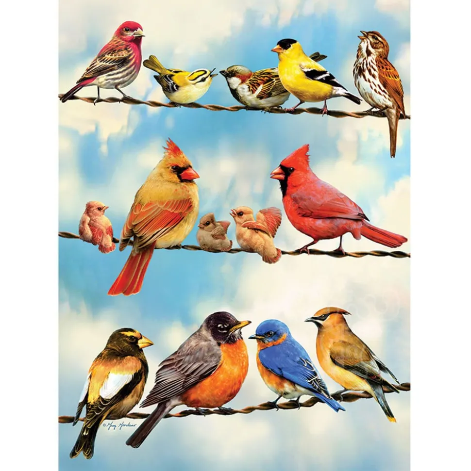 Cobble Hill Birds on a Wire Puzzle 500pcs