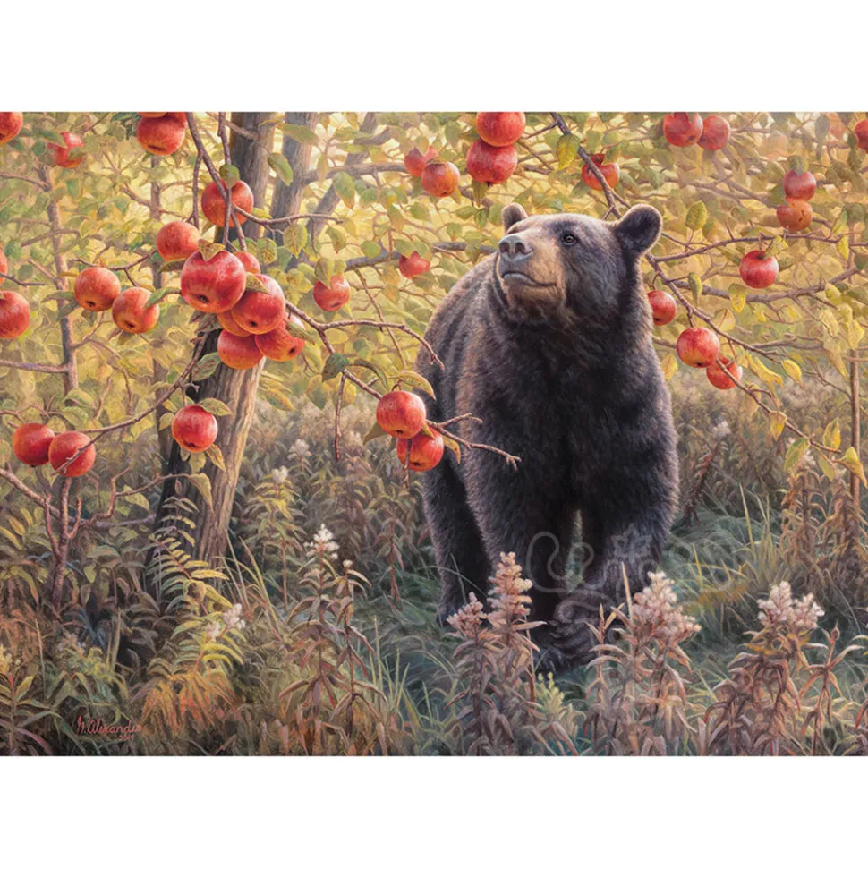 Cobble Hill Den Dreams Puzzle 500pcs