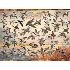 Cobble Hill Ducks of North America Puzzle 1000pcs