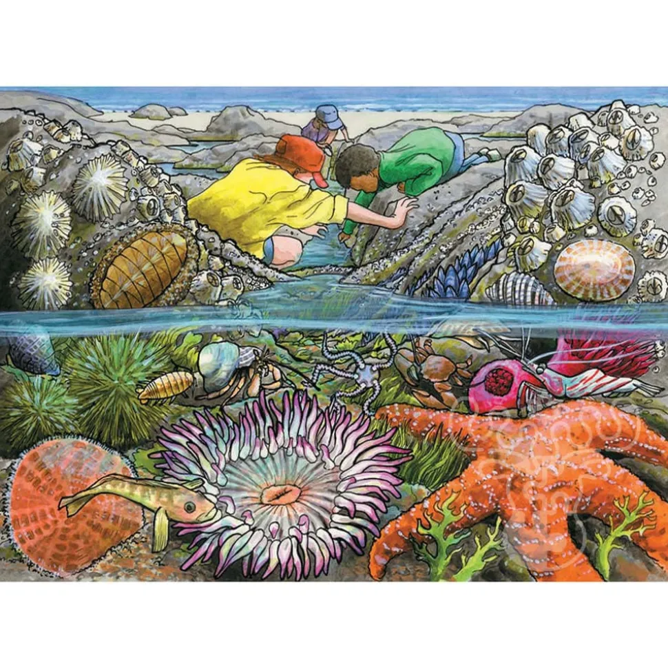 Cobble Hill Exploring the Seashore Tray Puzzle 35pcs
