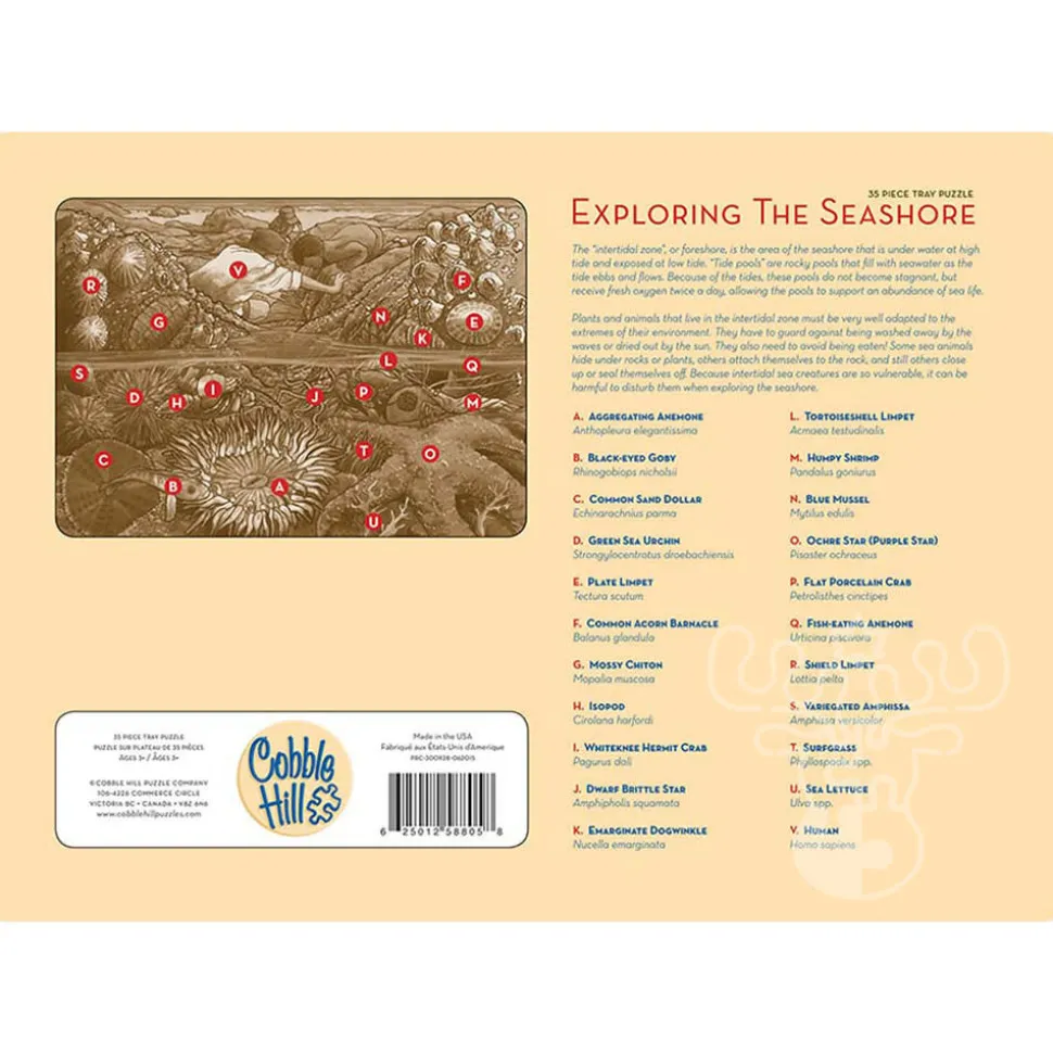 Cobble Hill Exploring the Seashore Tray Puzzle 35pcs