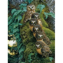 Cobble Hill Family Tree Puzzle 1000pcs