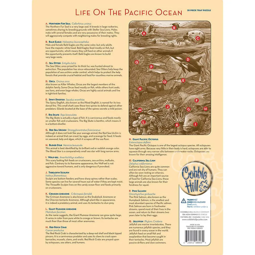 Cobble Hill Life on the Pacific Ocean Tray Puzzle 35pcs