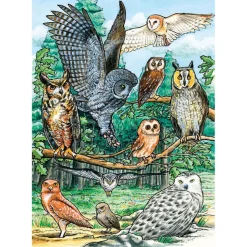 Cobble Hill North American Owls Tray Puzzle 35pcs