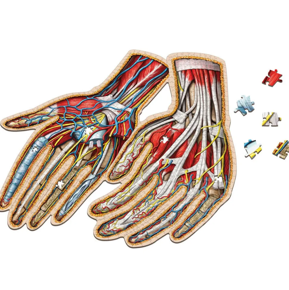 Dr. Livingston's Anatomy: The Human Hands Puzzle 512pcs