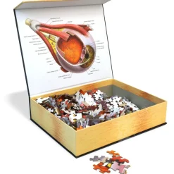 Dr. Livingston's Anatomy: The Human Eye Puzzle 544pcs