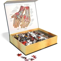 Dr. Livingston's Anatomy: The Human Hands Puzzle 512pcs