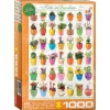 Eurographics Cacti & Succulents Puzzle 1000pcs