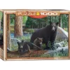 Eurographics New Discoveries Puzzle 1000pcs RETIRED