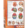 Eurographics The Brain Puzzle 1000pcs
