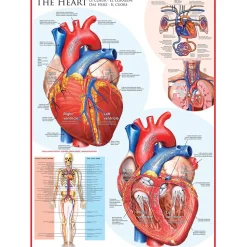 Eurographics The Heart Puzzle 1000pcs