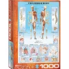 Eurographics The Human Body Puzzle 1000pcs