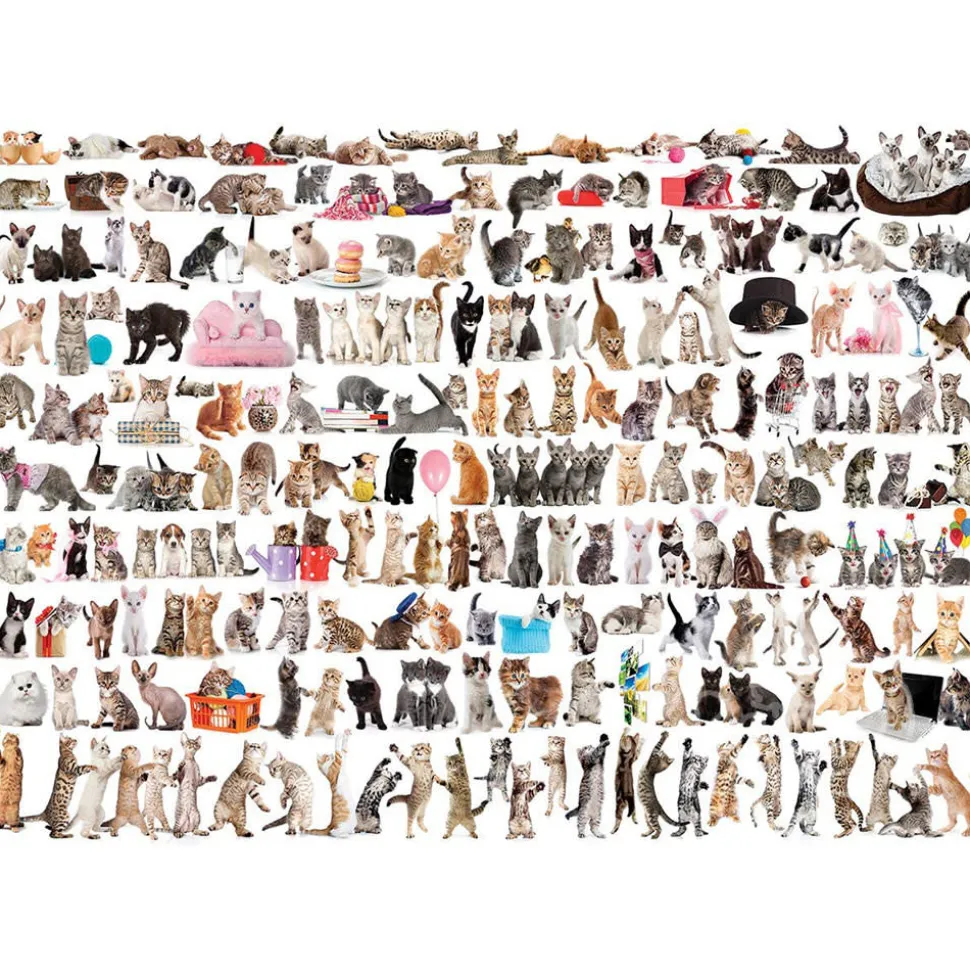 Eurographics The World of Cats Puzzle 1000pcs