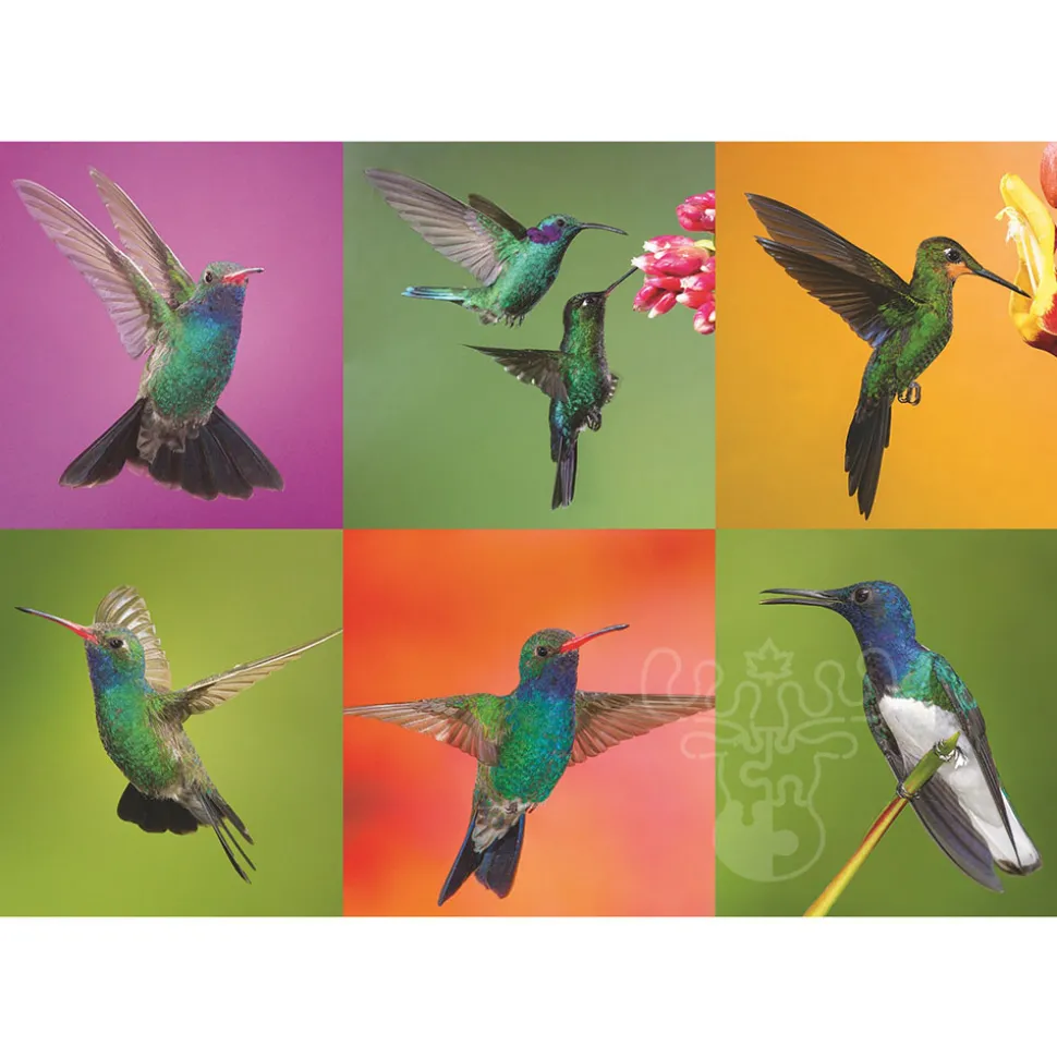 FINAL SALE Pierre Belvedere Dubuc: Hummingbird Collage Puzzle 500pcs