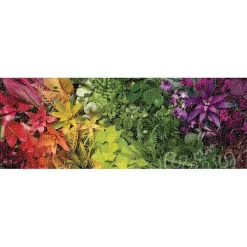 Galison Plant Life Panoramic Puzzle 1000pcs