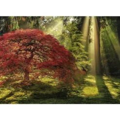 Heye Magic Forests, Guiding Light Puzzle 1000pcs