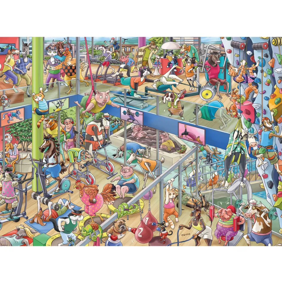 Heye Pet Gym Puzzle 1000pcs Triangle Box