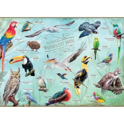 Insight Editions Field Guide to Magnificent Birds Puzzle 500pcs