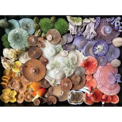 Insight Editions Mushroom Medley Puzzle 1000pcs