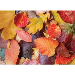 Magnolia Colorful Leaves Puzzle 1000pcs