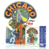 New York Puzzle Co. American Airlines: The Windy City Mini Puzzle 100pcs