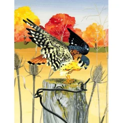 New York Puzzle Co. Cornell Lab: American Kestrel Puzzle 1000pcs