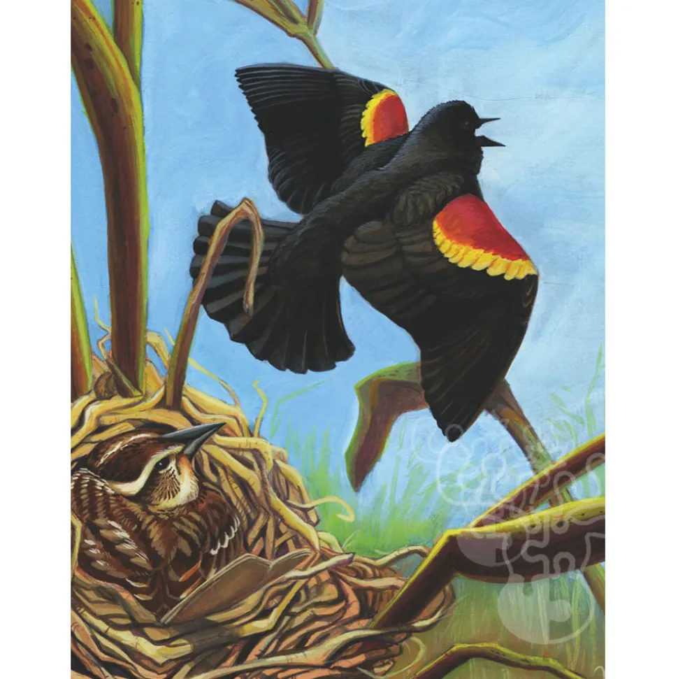 New York Puzzle Co. Cornell Lab: Red-winged Blackbird Mini Puzzle 100pcs