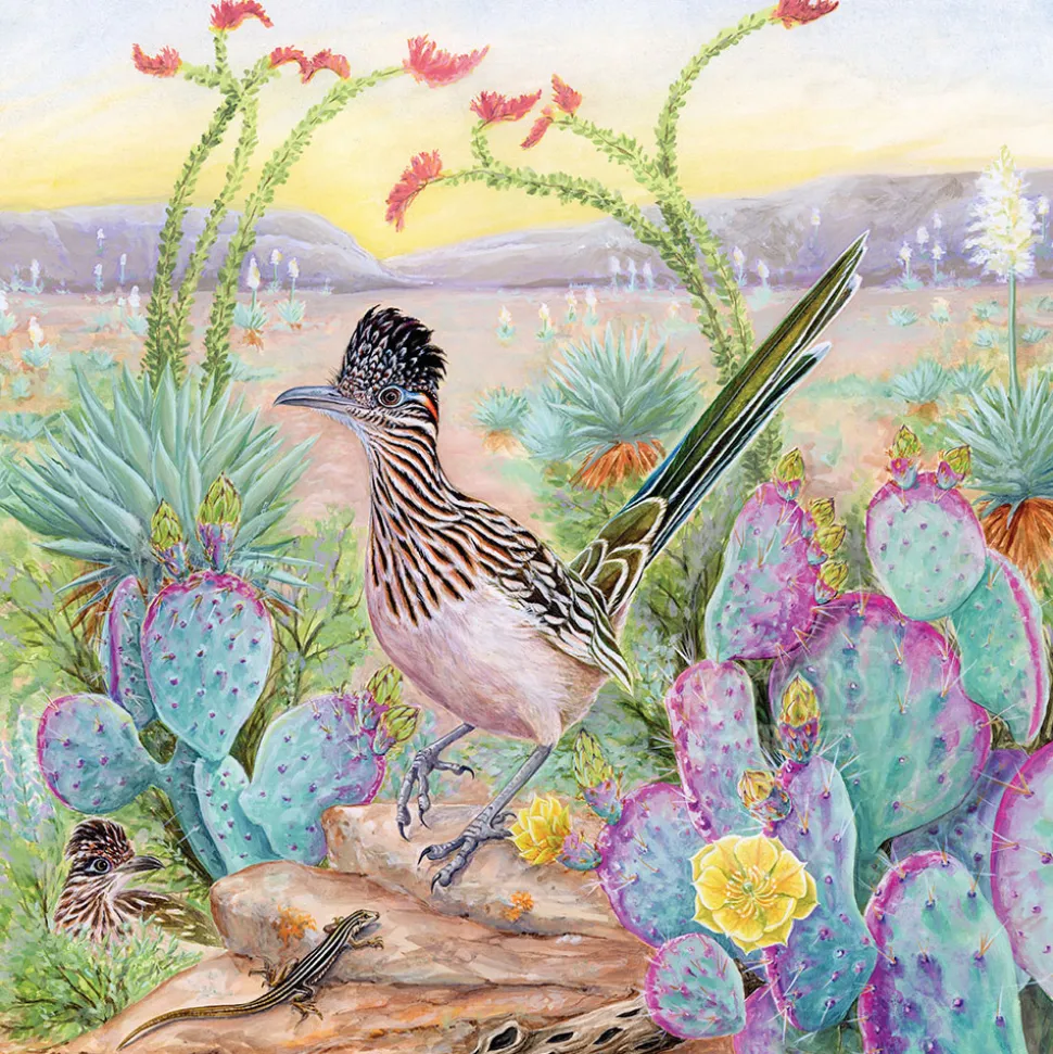 New York Puzzle Co. Cornell Lab: Greater Roadrunner Puzzle 500pcs
