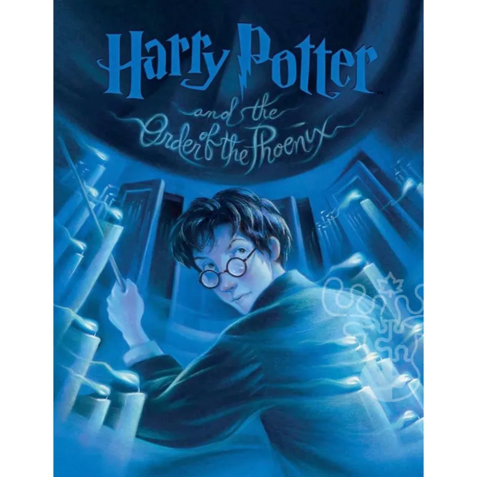 New York Puzzle Co. Harry Potter: Harry Potter and the Order of the Phoenix Puzzle 1000pcs*