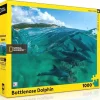 New York Puzzle Co. National Geographic: Bottlenose Dolphins Puzzle 1000pcs**