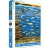 New York Puzzle Co. Vintage Collection: Fishes of the Great Lakes Puzzle 1000pcs