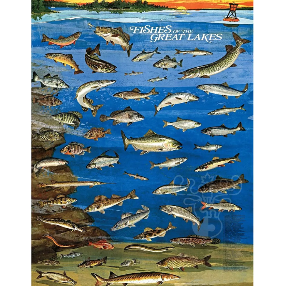 New York Puzzle Co. Vintage Collection: Fishes of the Great Lakes Puzzle 1000pcs
